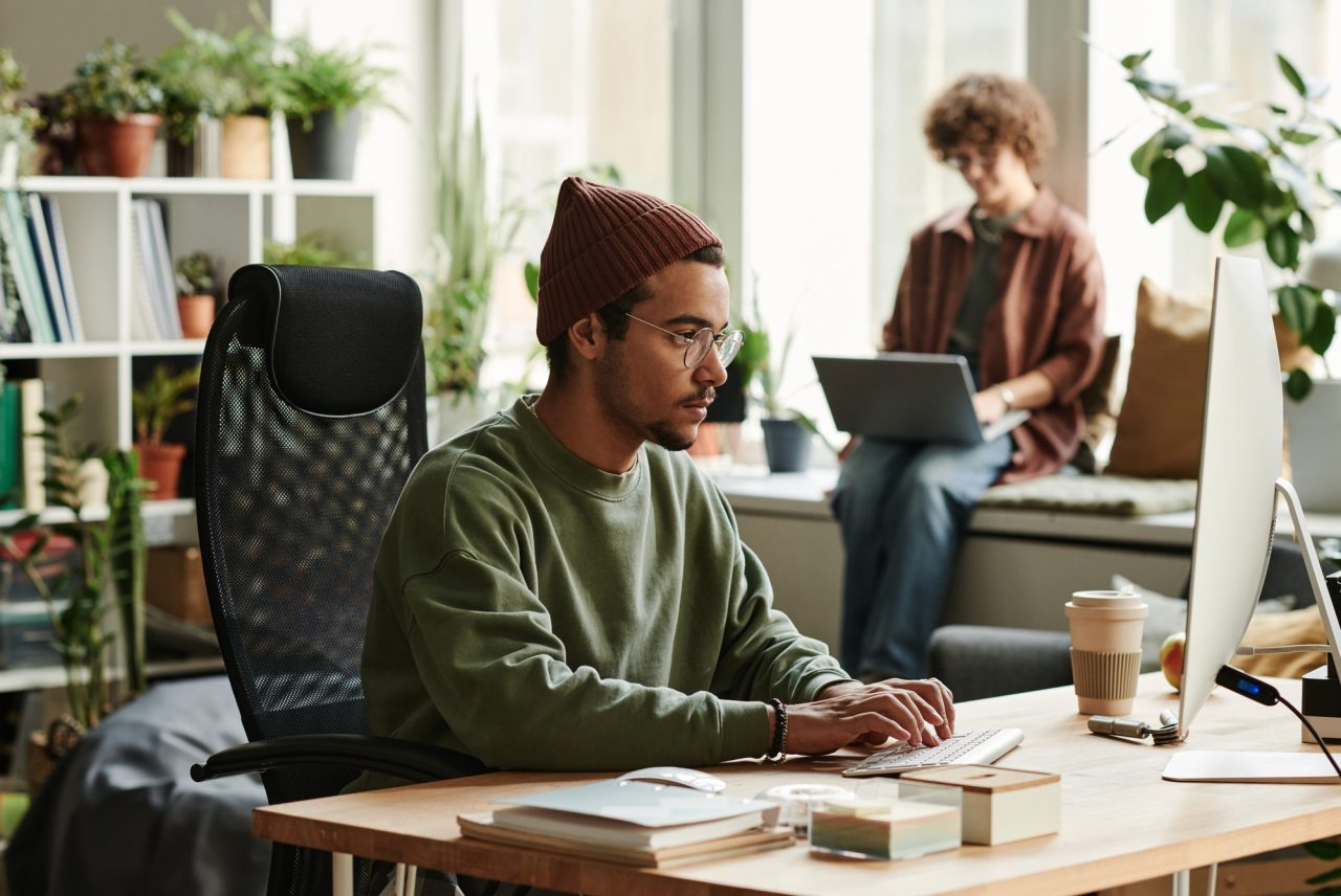 web development services for Shopify and WordPress projects